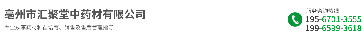 亳州市匯聚堂中藥材有限公司